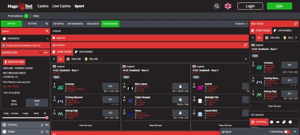 Sports Betting Options